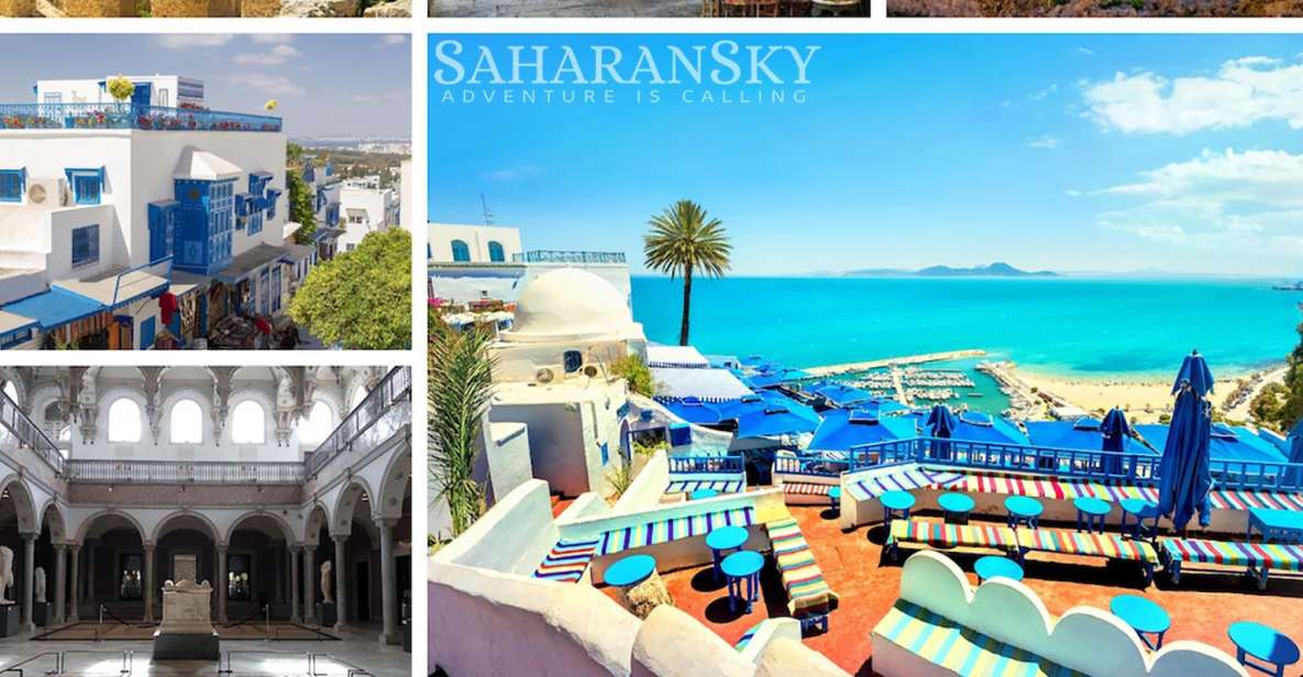 Tunis: Carthage, Sidi Bou Said and Medina Private Day Trip - Itinerary Highlights
