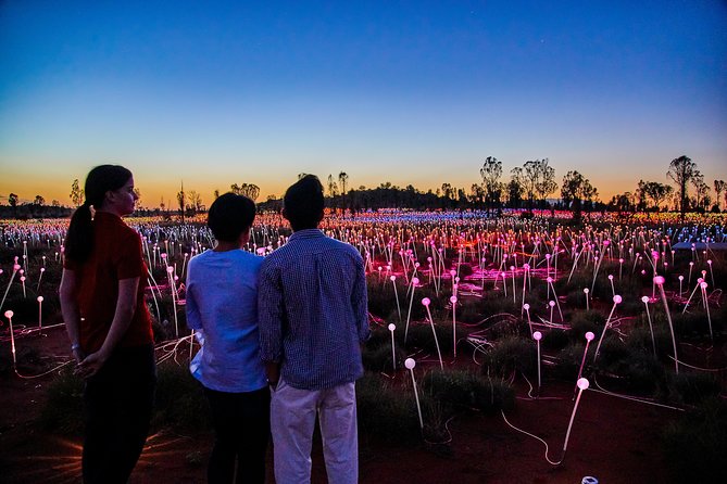 Uluru (Ayers Rock) Field of Light Sunrise Tour - Witnessing Ulurus Sunrise Glory