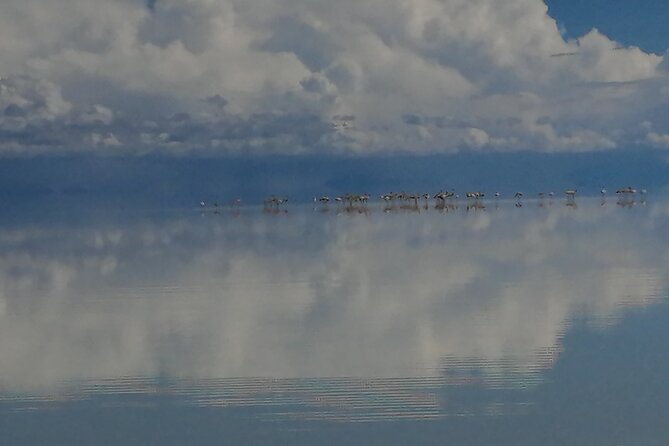 Uyuni Salt Flat 1 Day Tour Sunset in the Salt Water Region With Mirror Effect - Traveler Feedback and Recommendations