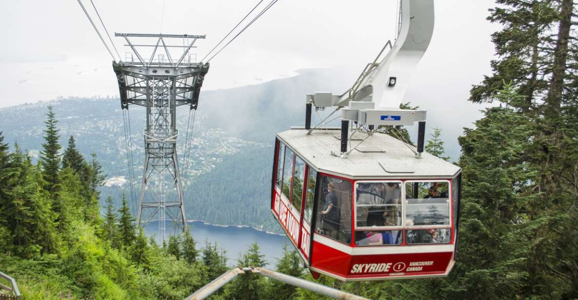 Vancouver: Grouse Mountain Express Tour With Skyride - Tour Highlights