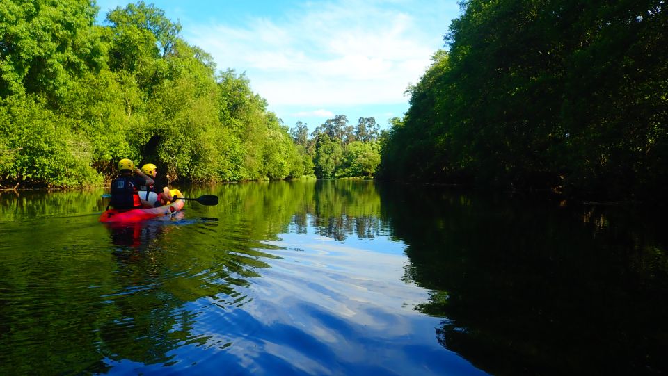 Viana Do Castelo: Kayak Tour at Lima River - Activity Inclusions