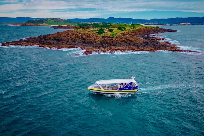 Whale Watching Cruise in New South Wales - Best Time for Whale Watching