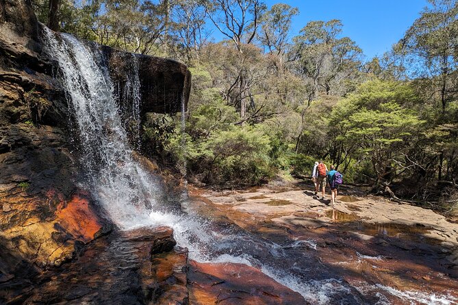 Wilderness, Waterfalls, Three Sisters BLUE MOUNTAINS PRIVATE TOUR - What to Expect on Tour