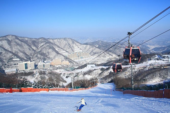 Winter Fun at Vivaldi Ski Resort With Romantic Winter Scenery at Nami Island - What to Expect at Nami Island