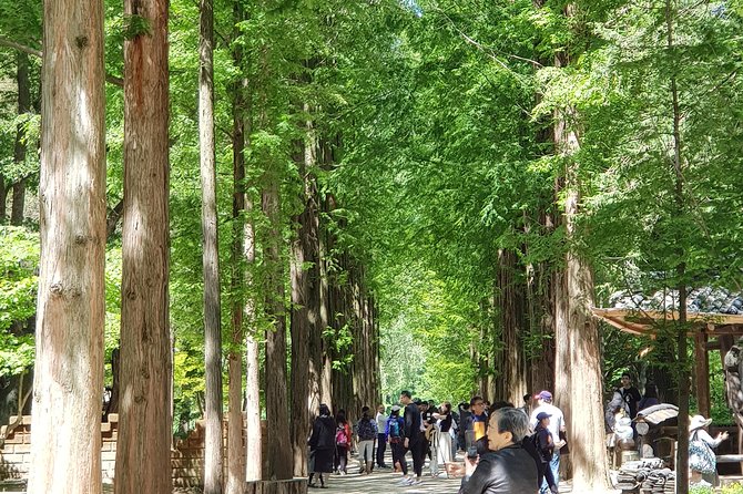 Winter Sonata TV Tour on Nami Island From Seoul - Behind the Scenes of Winter Sonata