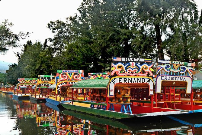 XOCHIMILCO & COYOACAN (Private) - Host Responses