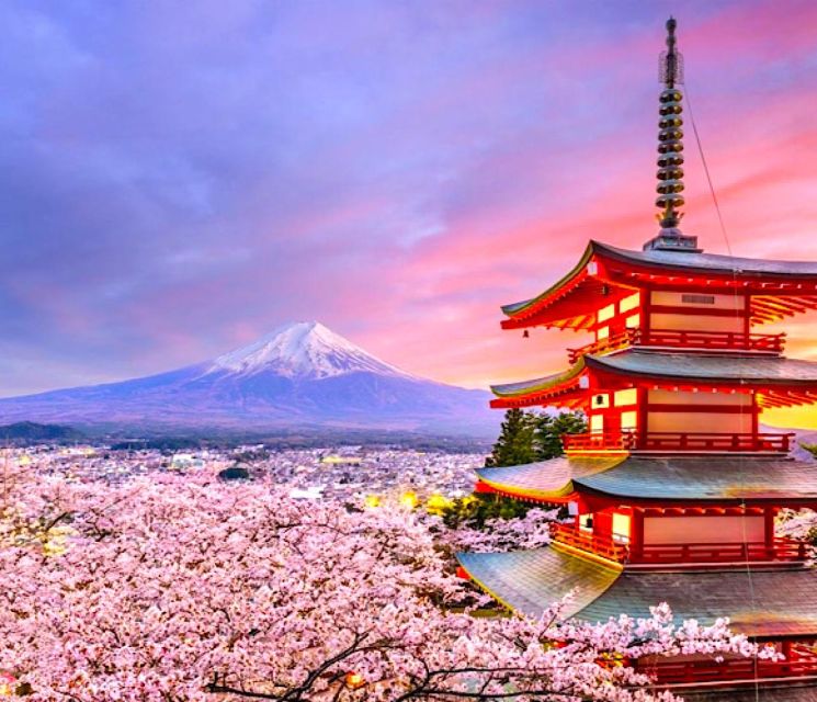 2-Day Private Tokyo MT Fuji and Hakone Tour With Guide - Cultural Insights