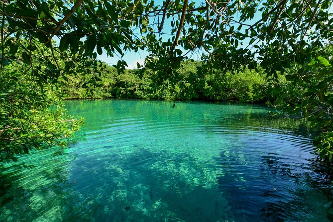 3 Cenote Dives - Casa & Dos Ojos - Common questions