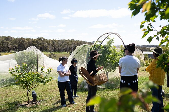 3 Day Margaret River Yoga Wellness Glamping Adventure From Perth - Activities and Experiences