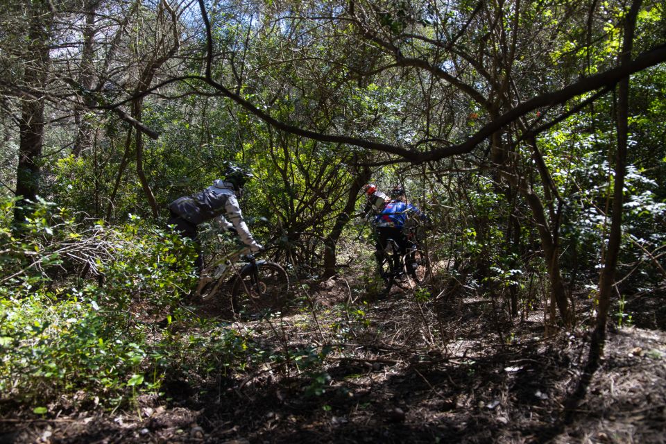 4 Hour Private MTB Enduro Trail Tour in Sintra Mountain - Itinerary