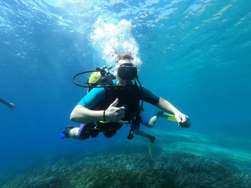 Andros: Get Your Padi Open Water Certificate! - Course Details
