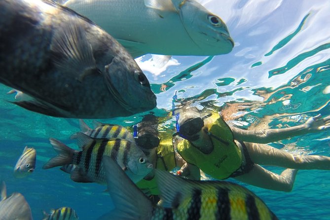 ATV Mud Kicking and Snorkeling by Boat in Cozumel - Available Facilities