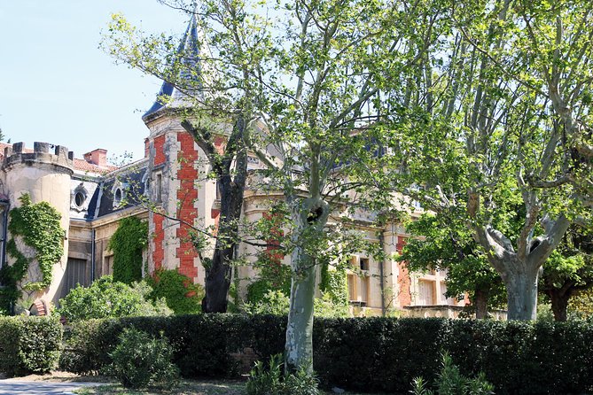 Avignons History, Local Culture & the Wines of Châteauneuf Du Pape Private Tour - Vineyard Visits