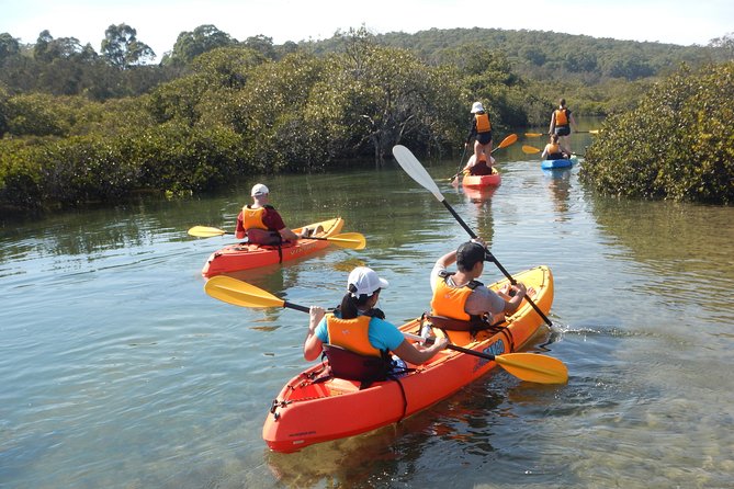 Batemans Bay Glass-Bottom Kayak Tour Over 2 Relaxing Hours - Wildlife Encounters and Insights
