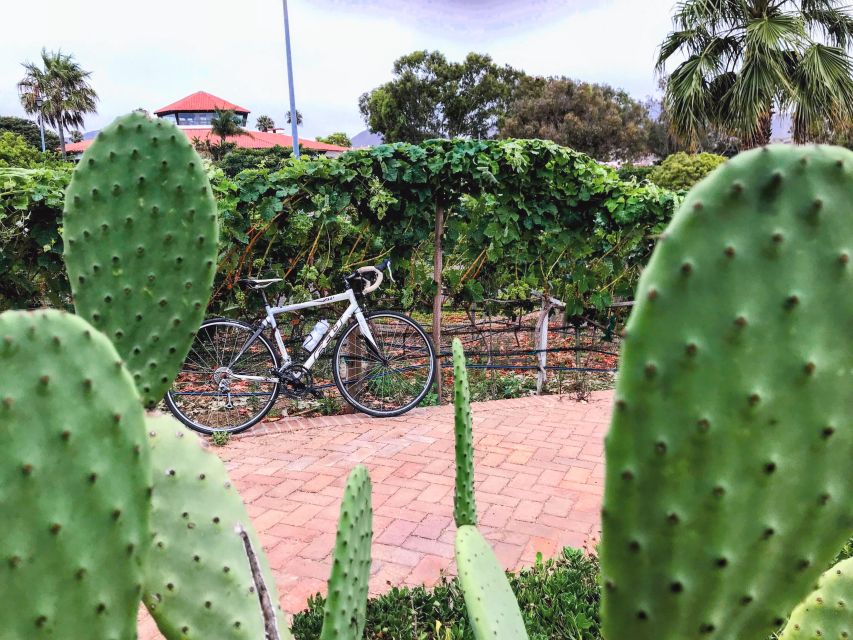 Bike and Wine Tasting Across the Guadalupe Valley - Restrictions