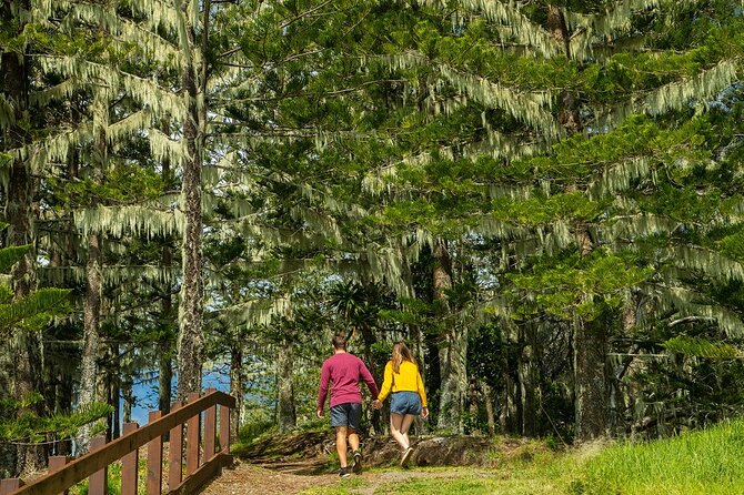 Breakfast Bushwalk in Norfolk Island - What to Expect on Tour