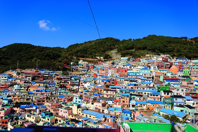 Busan Shore Excursion Tour With Gamcheon Culture Village - Itinerary and Logistics Details