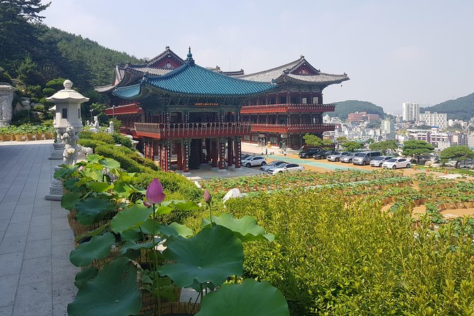 Busan Tour With Gamcheon Culture Village - Cancellation and Refund Policy