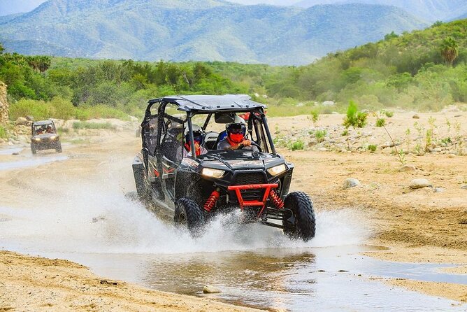 Camel Ride and UTV Combo Adventure, With Tequila Tasting - Negative Experiences and Feedback