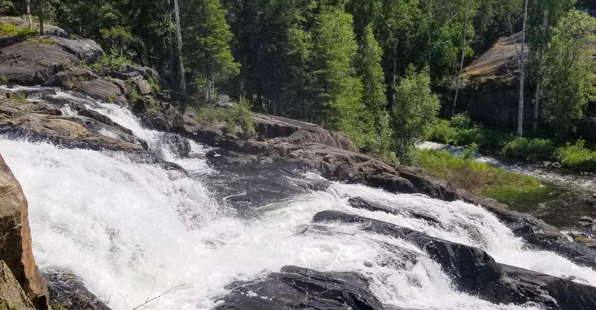 Cameron Falls Waterfall Tour - Important Information