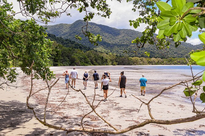 Cape Tribulation & Ziplining: Ultimate Daintree - Adventure and Relaxation Combined