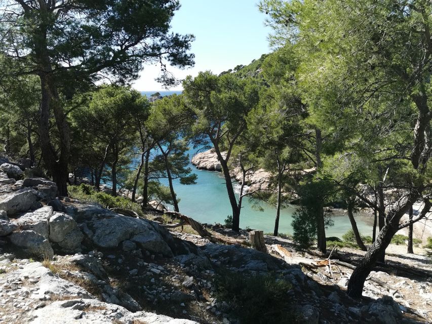 Cassis: Calanques National Park Guided Hiking Half-Day Trip - Reviews and Ratings Summary