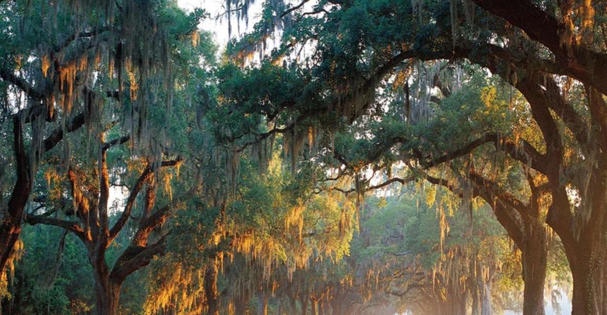 Charleston: Boone Hall & Historic City Tour Combo - Tour Highlights