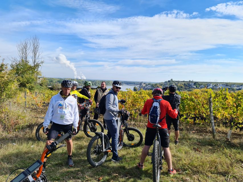 Chinon: Bicycle Tour of Saumur Wineries With Picnic Lunch - Tour Highlights