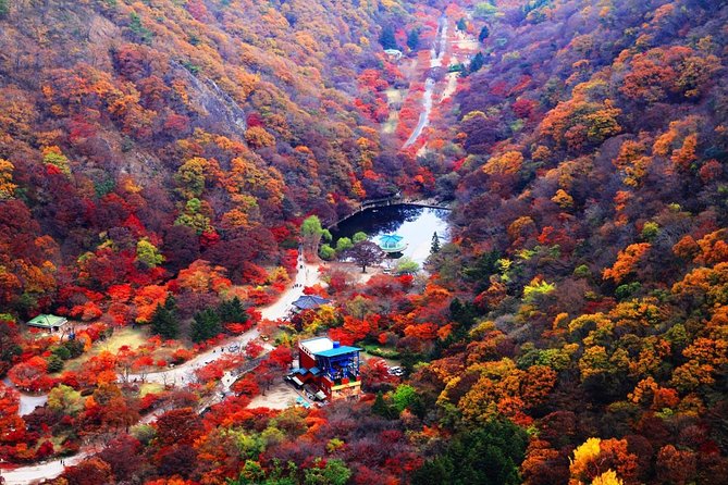 Classic Naejangsan National Park One Day Tour (Autumn Limited） - Meeting Point and Transportation