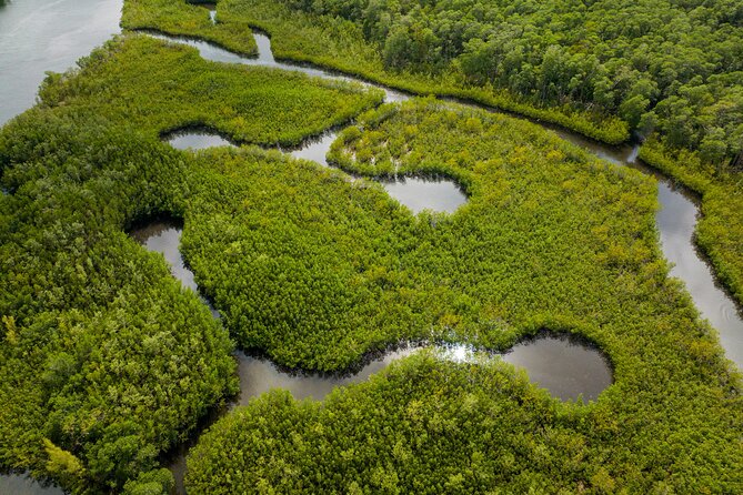 Clear Kayak Tour in North Miami Beach - Mangrove Tunnels - Logistics