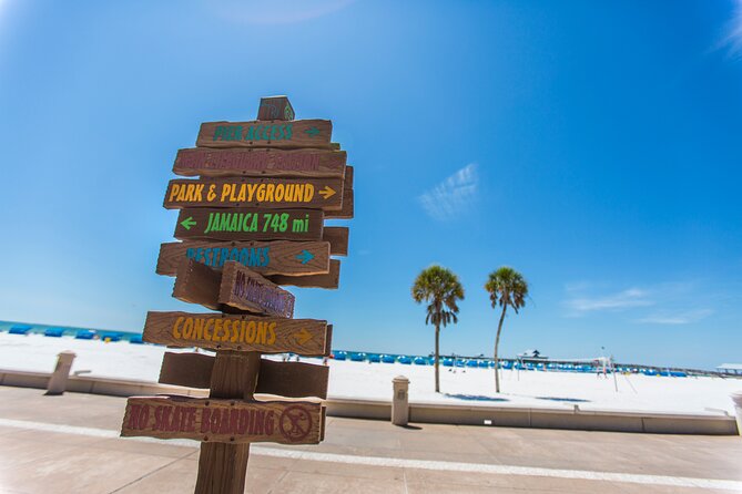 Clearwater Beach Dolphin Speedboat Adventure With Lunch & Transport From Orlando - Dolphin Spotting Adventure