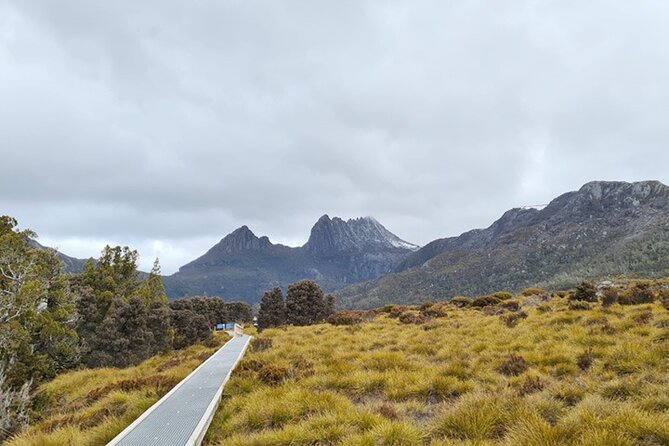 Cradle Mountain National Park Day Tour From Launceston - Pickup and Meeting Details