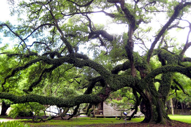 Destrehan Plantation Tour - Inclusions and Facilities