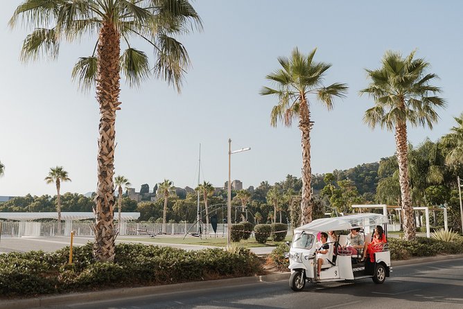 Expert Tour of Malaga in Private Eco Tuk Tuk - Cancellation Policy