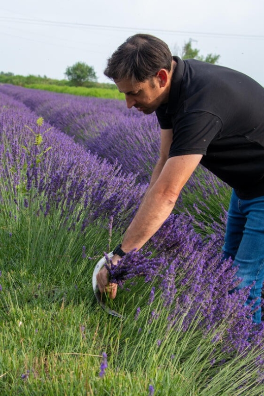 Flowers Picking and Essential Oil Distillation Workshop - What to Expect From the Tour