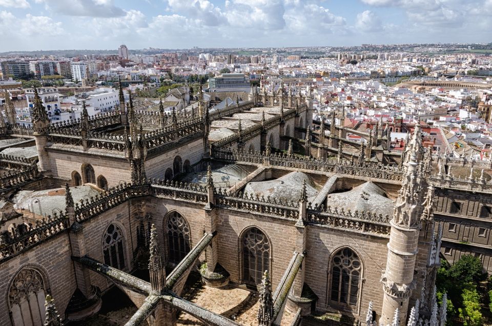 From Cadiz: Private Seville Day Trip, Cathedral & Alcazar - Tour Itinerary