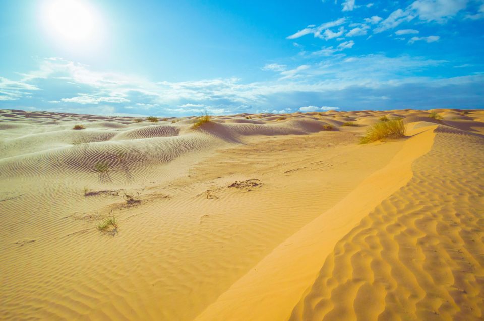 From Djerba: Night at the Desert Camp Ksar Ghilane - Activities and Languages