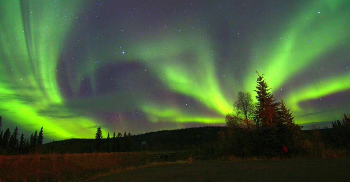 From Fairbanks: Northern Lights & Murphy Dome Tour - Important Information