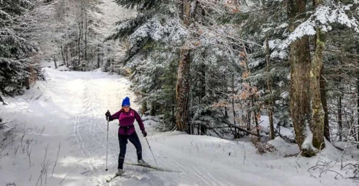 From Gardiner: Guided Yellowstone Cross-Country Skiing Tour - Full Description