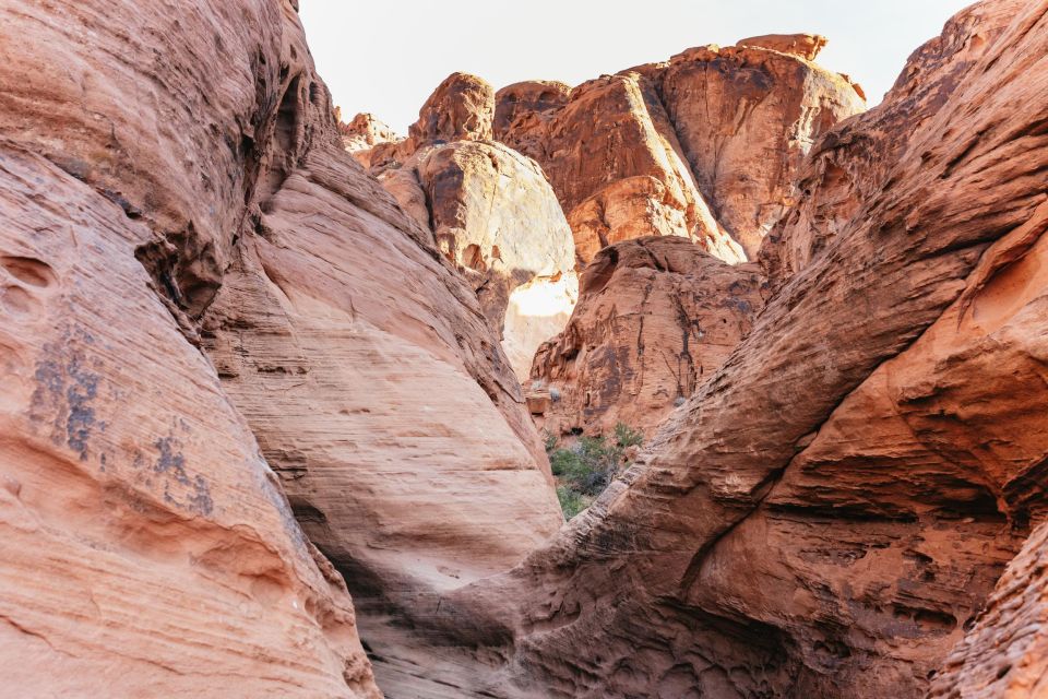 From Las Vegas: Explore the Valley of Fire on a Guided Hike - Customer Reviews