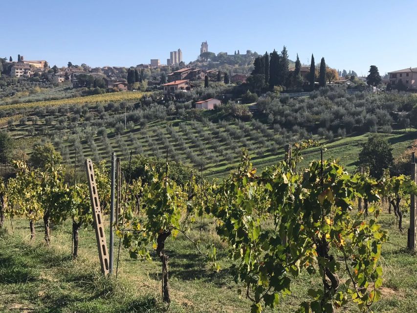 From Livorno: Shore Excursion to Chianti and San Gimignano - Inclusions and Exclusions