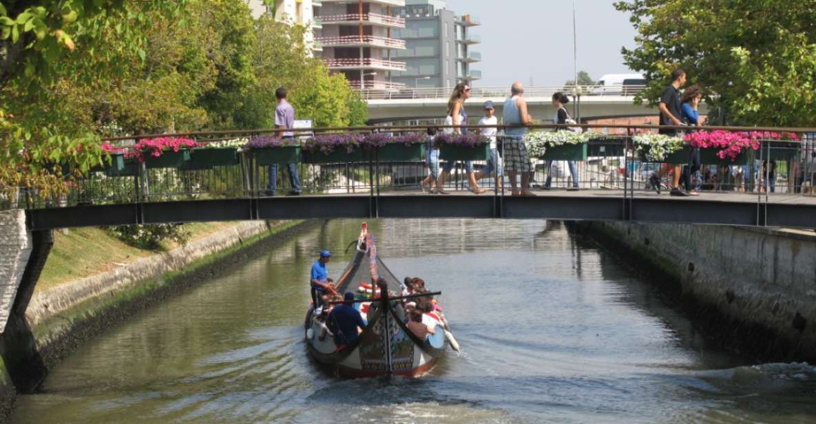 From Porto: Private Sightseeing Tour of Aveiro - Tour Highlights