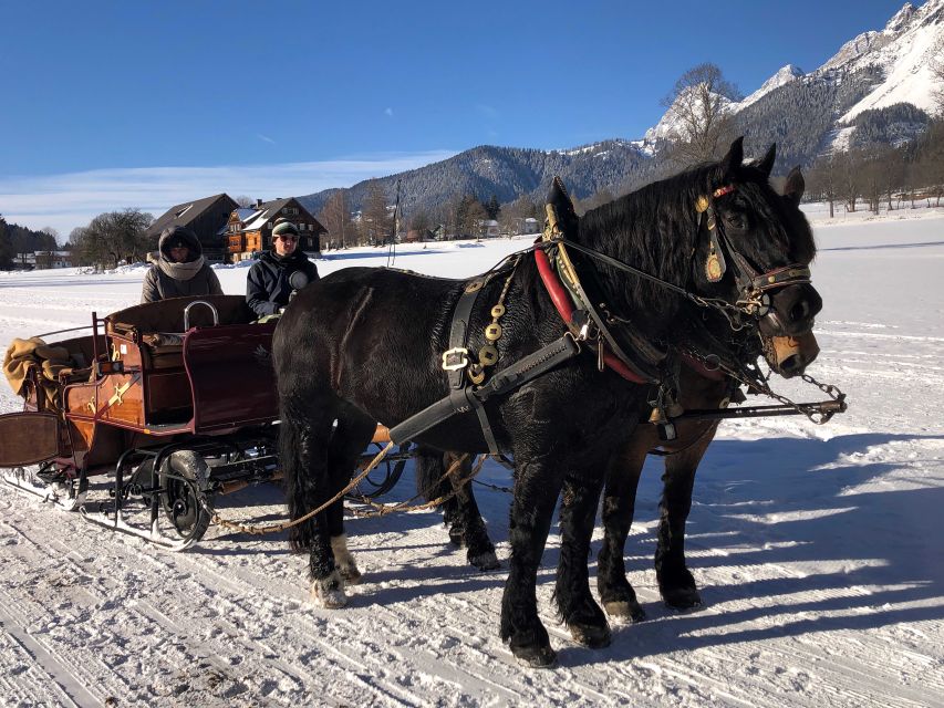 From Salzburg: 8-Hour Tour With Horse-Drawn Sleigh Ride - Booking Information