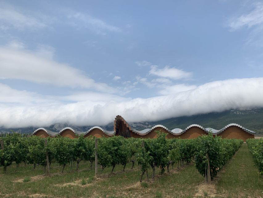 From San Sebastian: Rioja Wine Tour - Tour Description