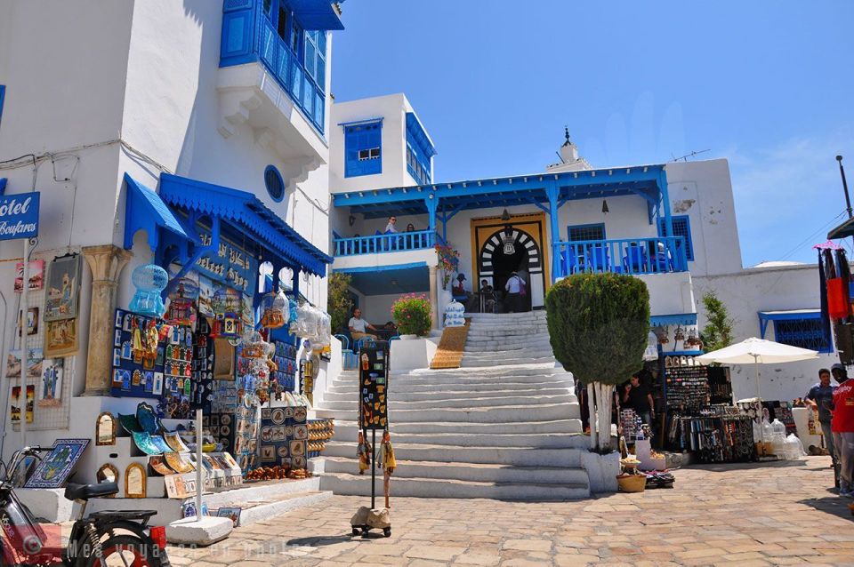 From Sousse: Day Trip to Carthage, Tunis and Sidi Bou - Customer Reviews