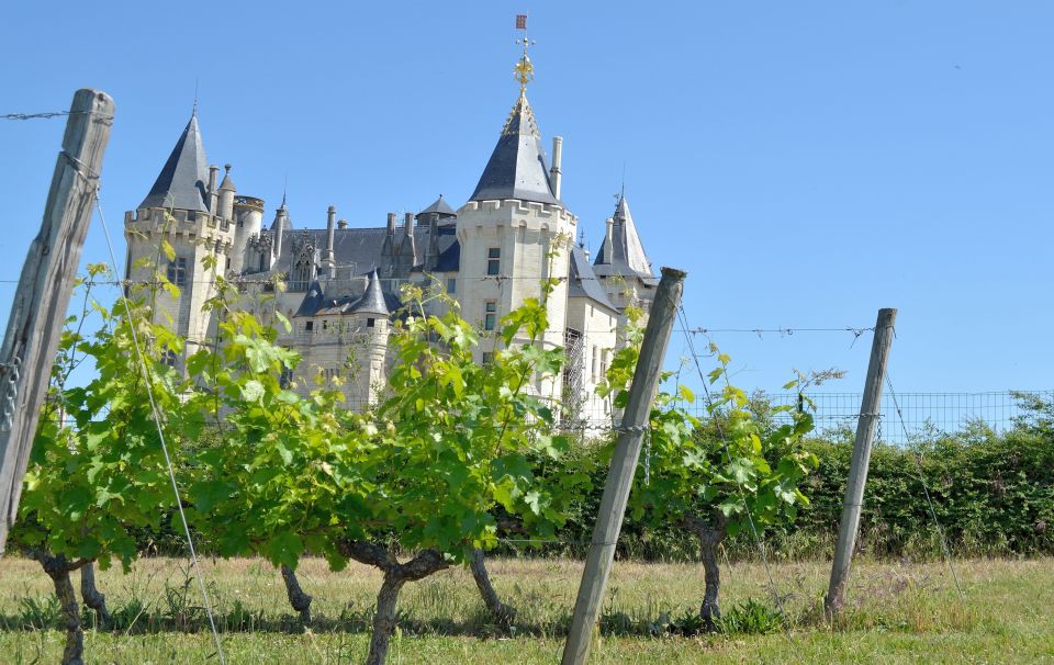 From Tours: Loire Valley Wineries Day Trip With Tastings - Inclusions