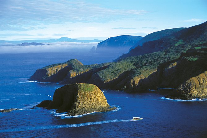 Full-Day Bruny Island Cruises Day Tour From Hobart - Morning Tea and Lunch Experience