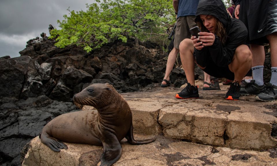 Full Day Leon Dormido and Lobos Island Tour - Main Stop Details