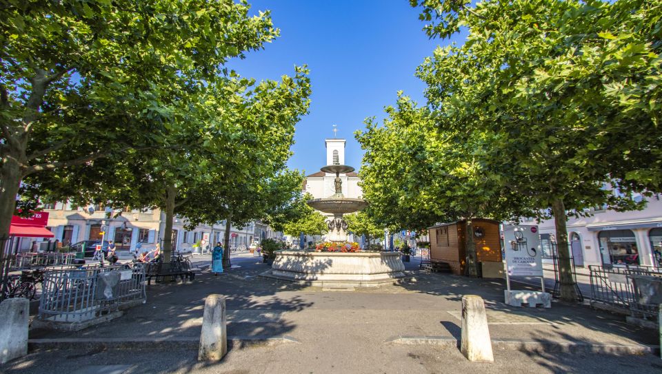 Geneva: Carouge Tour With a Local - Location Insights