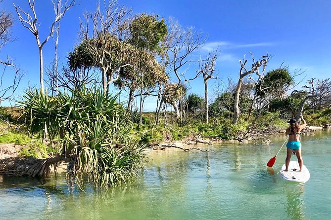 Golden Beach 1-Hour Stand-Up Paddleboard Hire on the Sunshine Coast - Inclusions and What to Bring